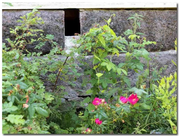 Hirsitalon-kuntoarvio