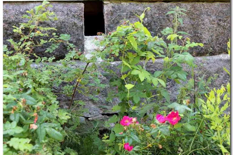 Hirsitalon-kuntoarvio