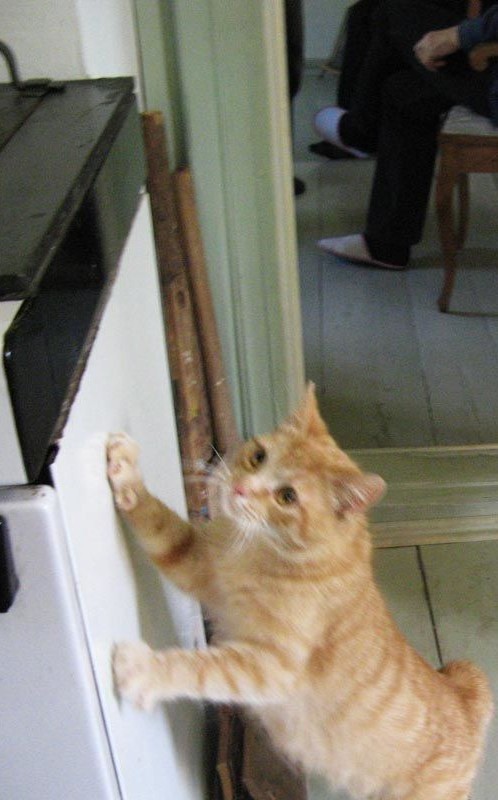 Kyllähän tämä tähän taitaa sopia