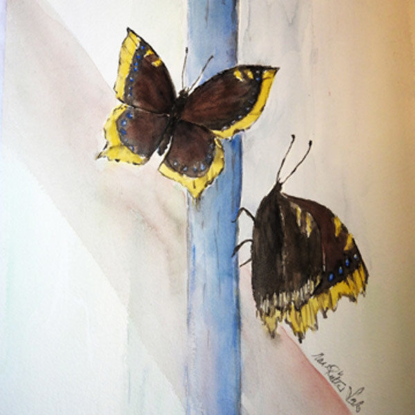 Akvarelli Suruvaipat 57x34, lähikuvaakvarellit, Eeva-Riitta Salo