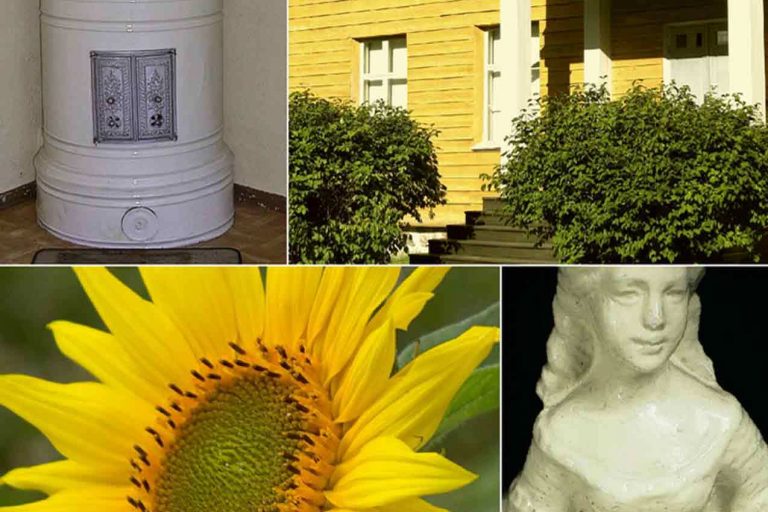 Värisuunnittelua ja unelmia