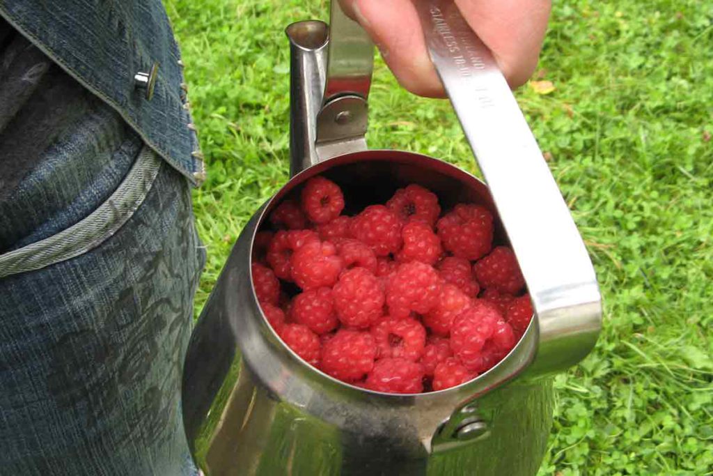 …ja toki täältä sen verran evästä löytyy